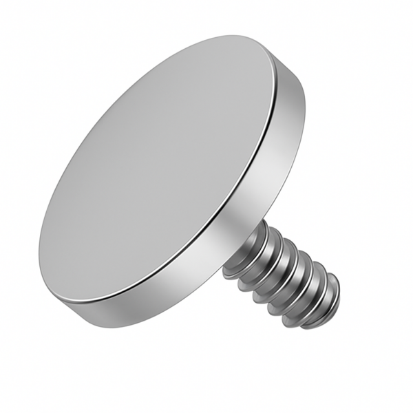 Schraubaufsatz Platte aus Titan